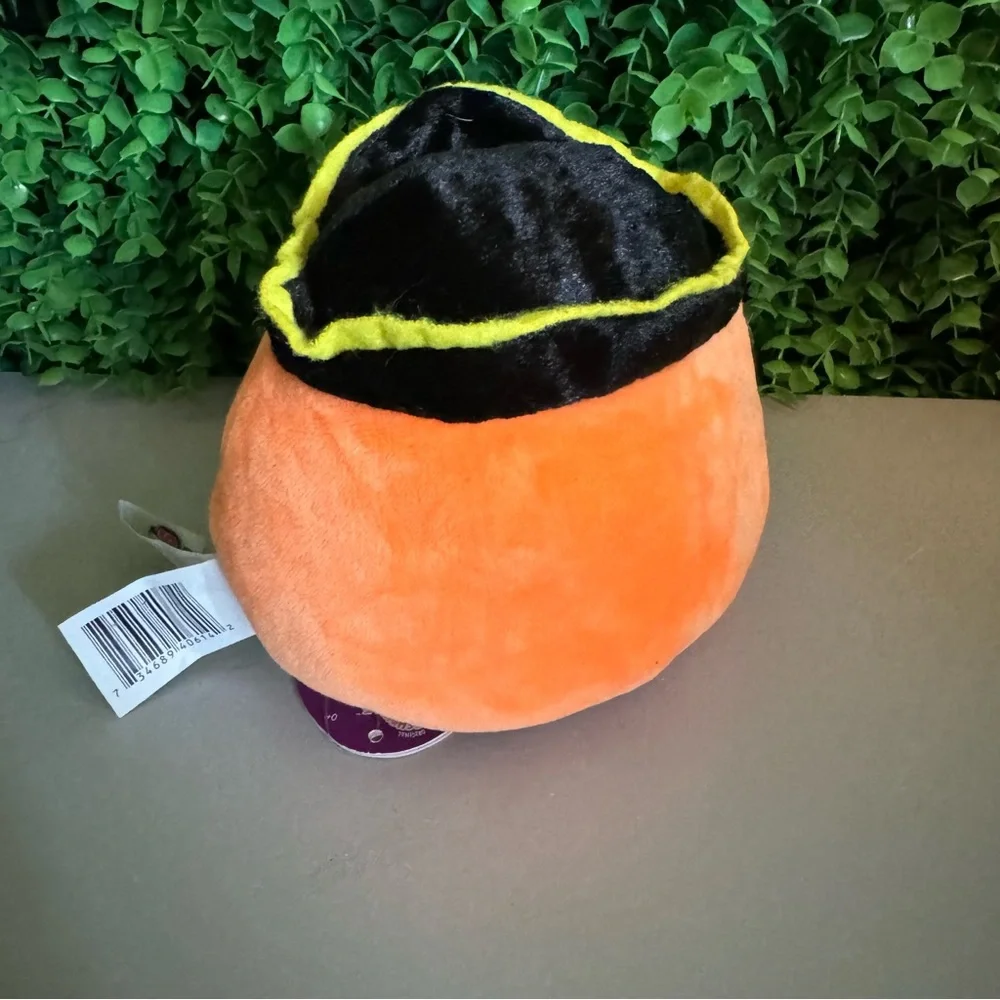 Petey the Pirate & Paxton the Pumpkin 5